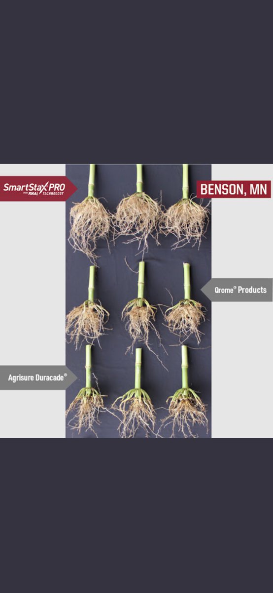 Michael Michlig tweet media