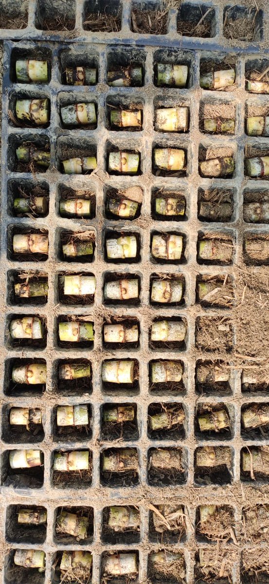 Dinesh Kumar Singh (@dksingh926) on Twitter photo 