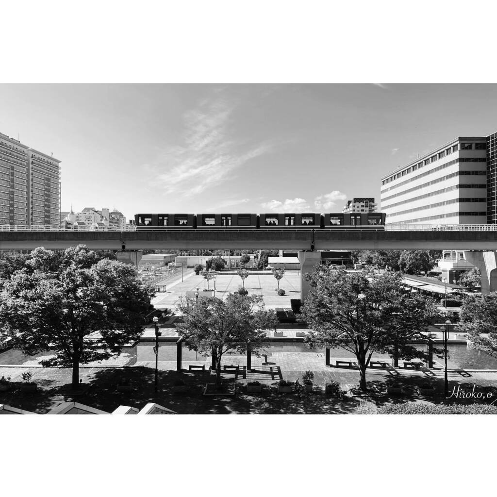 0622_bnw's tweet photo. ❥
Rokko Island
:
:
#bnwphotography
#shotoniphone
#12mini
#automatictrainoperation https://t.co/iS2nxbusd7 https://t.co/K8YsMnYfbU