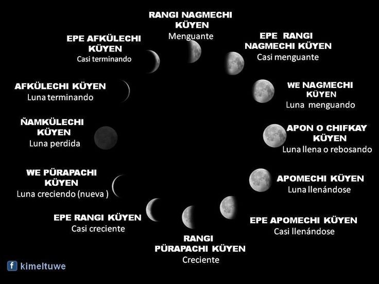 MapucheKimvn's tweet photo. Ñamkvleci kvyeh gey tati tvfaci puh mu. Puh mai kom pu ce ka kvme peumaymvn 😴 // Tonight is dark moon, it is the best time to start new things. The blessings of our mother nature and the Great Spirit. I wish you have good dreams and let us be guided by our ancestors. Goodnight🙏🏽 https://t.co/Qty9FB4oQp