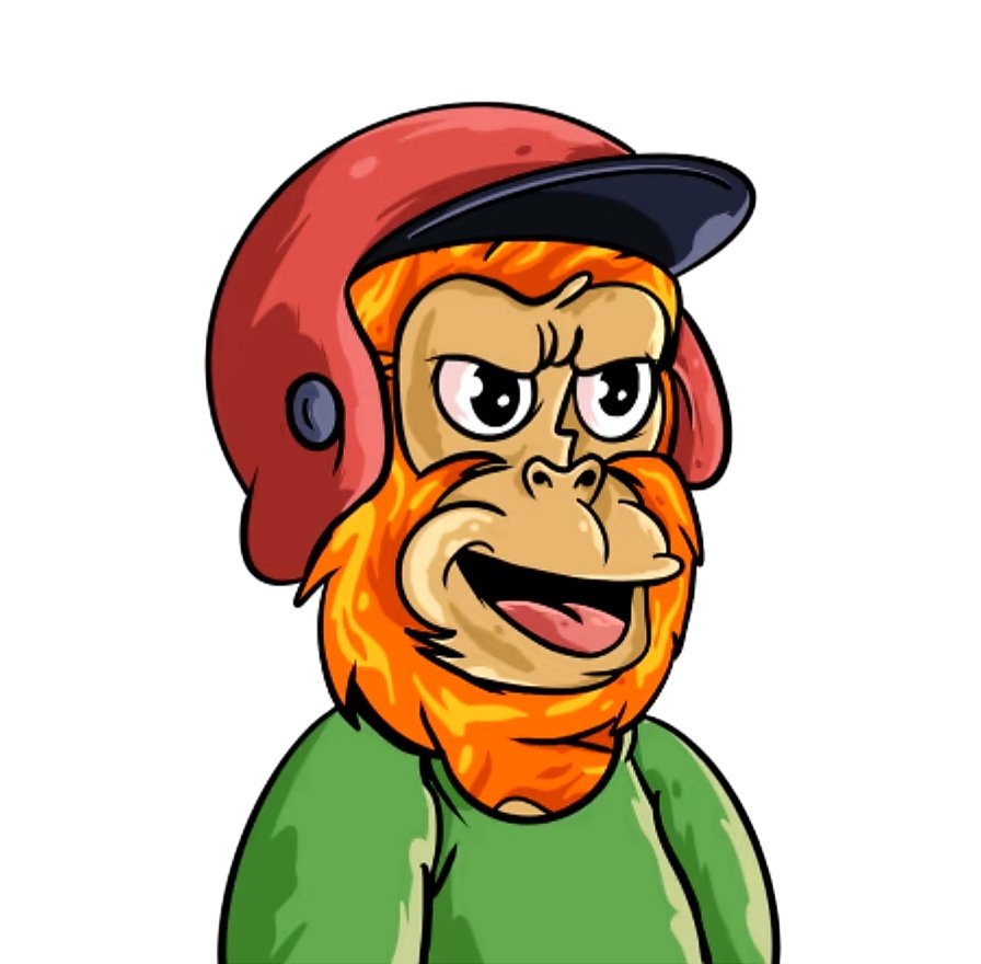 BingeOnCardano tweet media