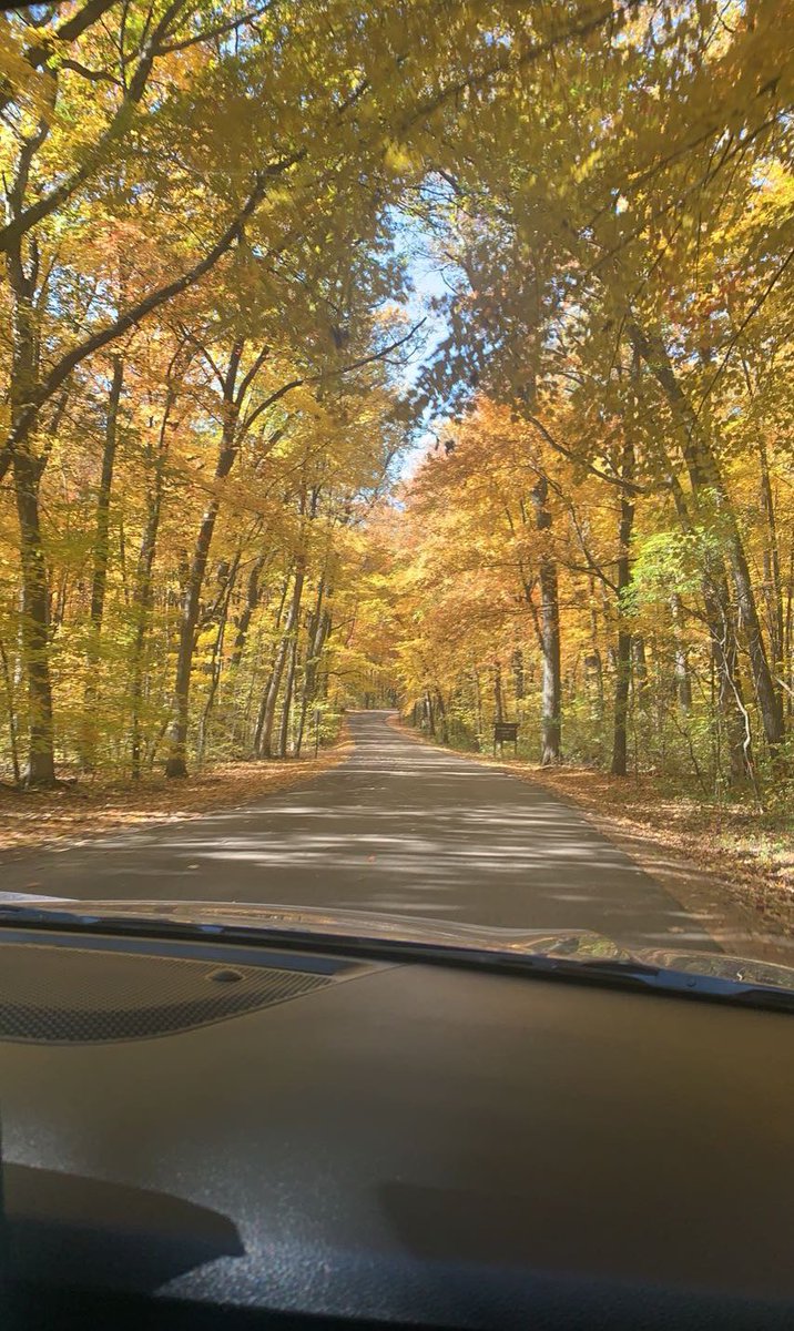 kammacedo7's tweet photo. Devil’s Lake State Park 💛 https://t.co/tohHWhnYuB