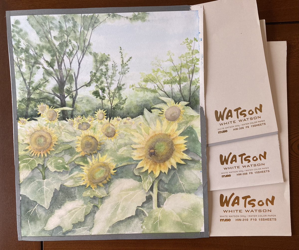 #おめでとうホワイトワトソン ㊗️ホワイトワトソン20周年🎊 絵を描き始めて10年ほどホワイトワトソンだけで描いてました。 ホワイトワトソンF10+透明水彩
