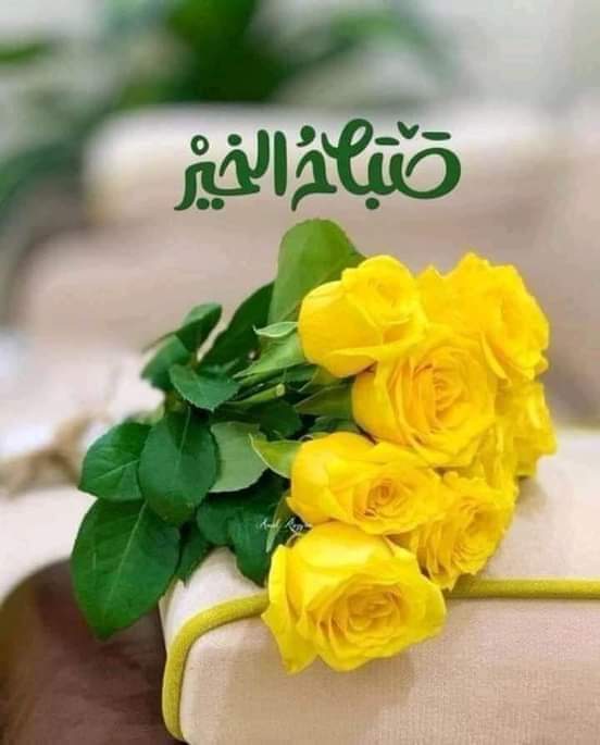 md5678902's tweet photo. @8ll8B https://t.co/G3N8YQmITW