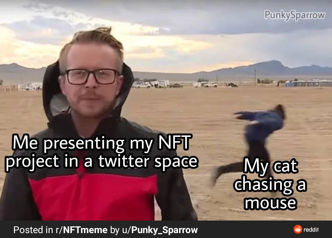 mattdykema's tweet photo. Every single single cat dude with a #APE for his screen saver 🙌 #NFT #NFTshill #TwitterSpace #NFTCommuinity #catdude https://t.co/waZmUEyYK2