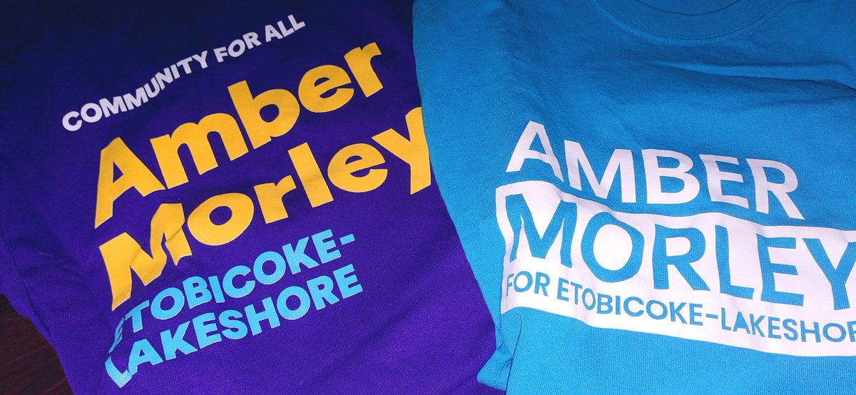 housingdrama's tweet photo. @morleyforward3 #morewithmorley #etobicokelakeshore Ward 3 demographics voted together for #communityforall #Toronto https://t.co/cbun5zEgie