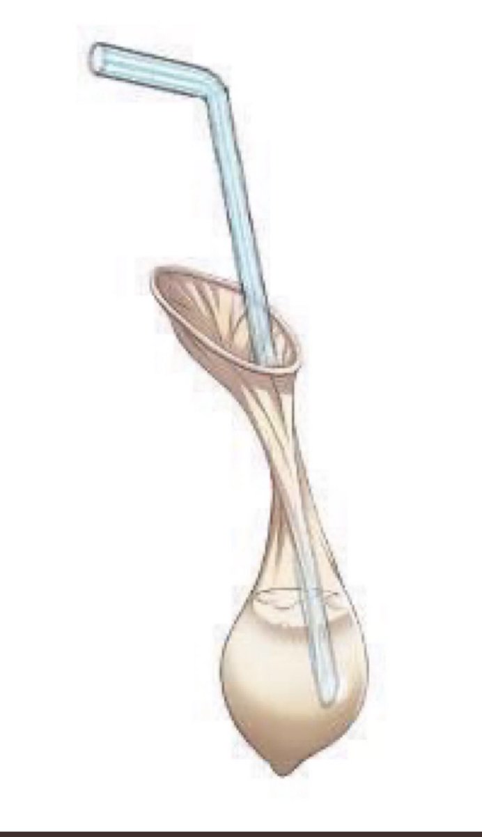 Every time there’s some bad news about me hoes be like: