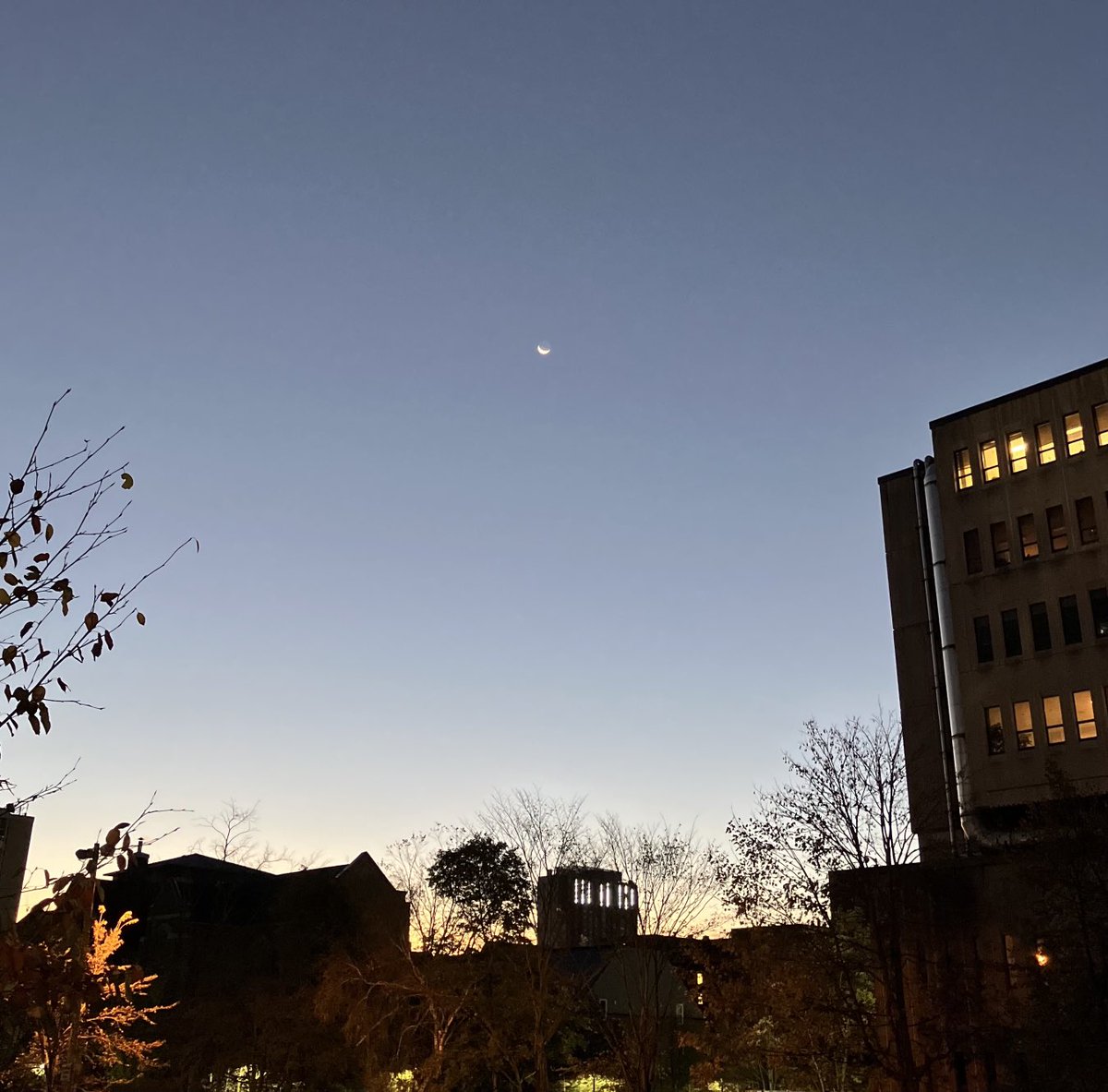 Even the moon was up late (so late it was dawn on Saturday) celebrating the Wisps qualifying for ML ‘22! 
⁦<a href="/Jellesmarbles/">Jelle’s Marble Runs</a>⁩ ⁦<a href="/MidnightWisps/">Midnight Wisps</a>⁩ ⁦<a href="/Waspy_JMR/">Waspy</a>⁩ ⁦<a href="/Wespy_jmr/">Wespy</a>⁩ ⁦<a href="/wospy_jmr/">Wospy</a>⁩ ⁦<a href="/Wuspy_jmr/">Wuspy</a>⁩ ⁦<a href="/CoachWyspy_JMR/">Coach Wyspy</a>⁩ ⁦<a href="/MngrWillow_JMR/">Manager Willow</a>⁩