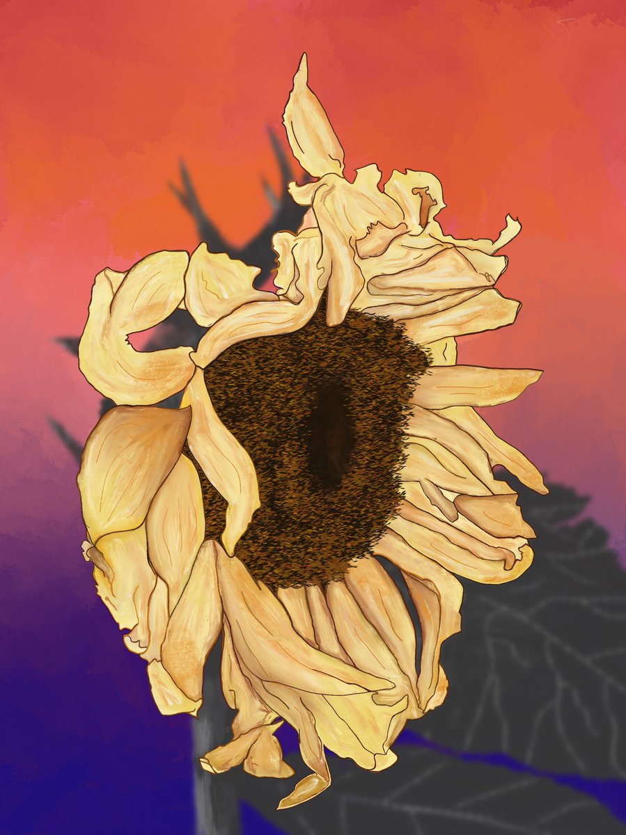 PolluxAndKastor's tweet photo. #digitalartwork #digitalart #sunflower  #sunset #depthoffield #depth #surreallife #surrealart #SURREALISM https://t.co/SvNojE8azo