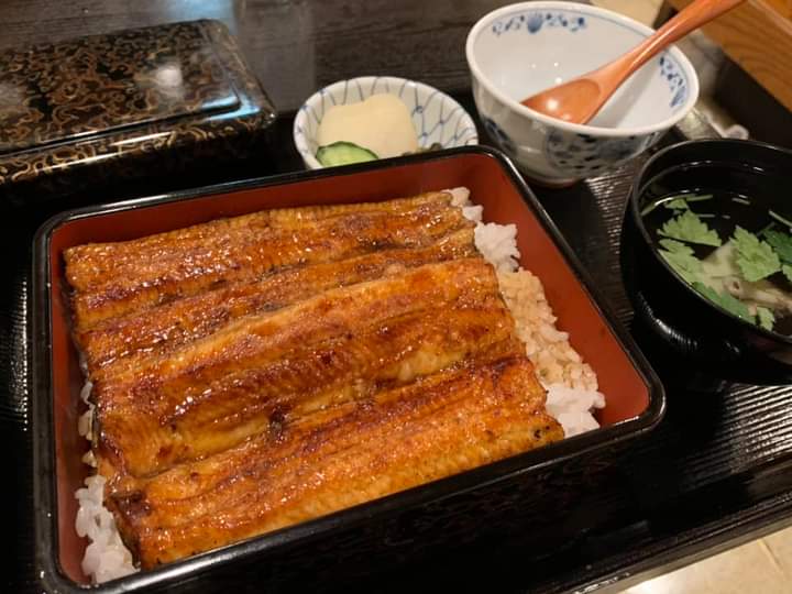 y6arqZtxx8Tgtgl's tweet photo. お昼ごはん(⁠^⁠^⁠)
育ちが悪いからなのか舌が馬鹿だからなのかわからんが白焼きは一切旨いと思わない。子供だからやっぱり鰻はタレびしゃがけじゃないとね(⁠^⁠^⁠) https://t.co/pZFvQ9Yg1c