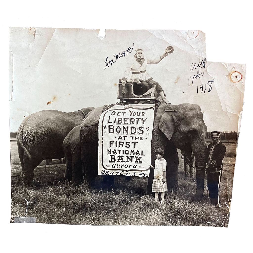 Panic shopping for the Boston book fair means I just spent a lot of money I don’t have on an archive of photos of circus elephants wearing advertising banners, and I honestly can’t decide if I’m elated or kicking myself. Possibly both. #booksellerproblems