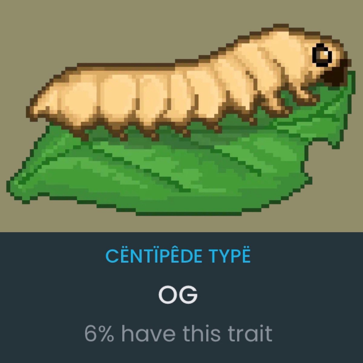 rattatmat99's tweet photo. OG gonna be a Gangsta
#mothling #wenlamp #og #NFT
#NFTProjects #NFTCommunity #steaked #Whatsnext
๐คท๐ผโโ๏ธ๐ก๐๐ฆ https://t.co/6lvtuSJWLp