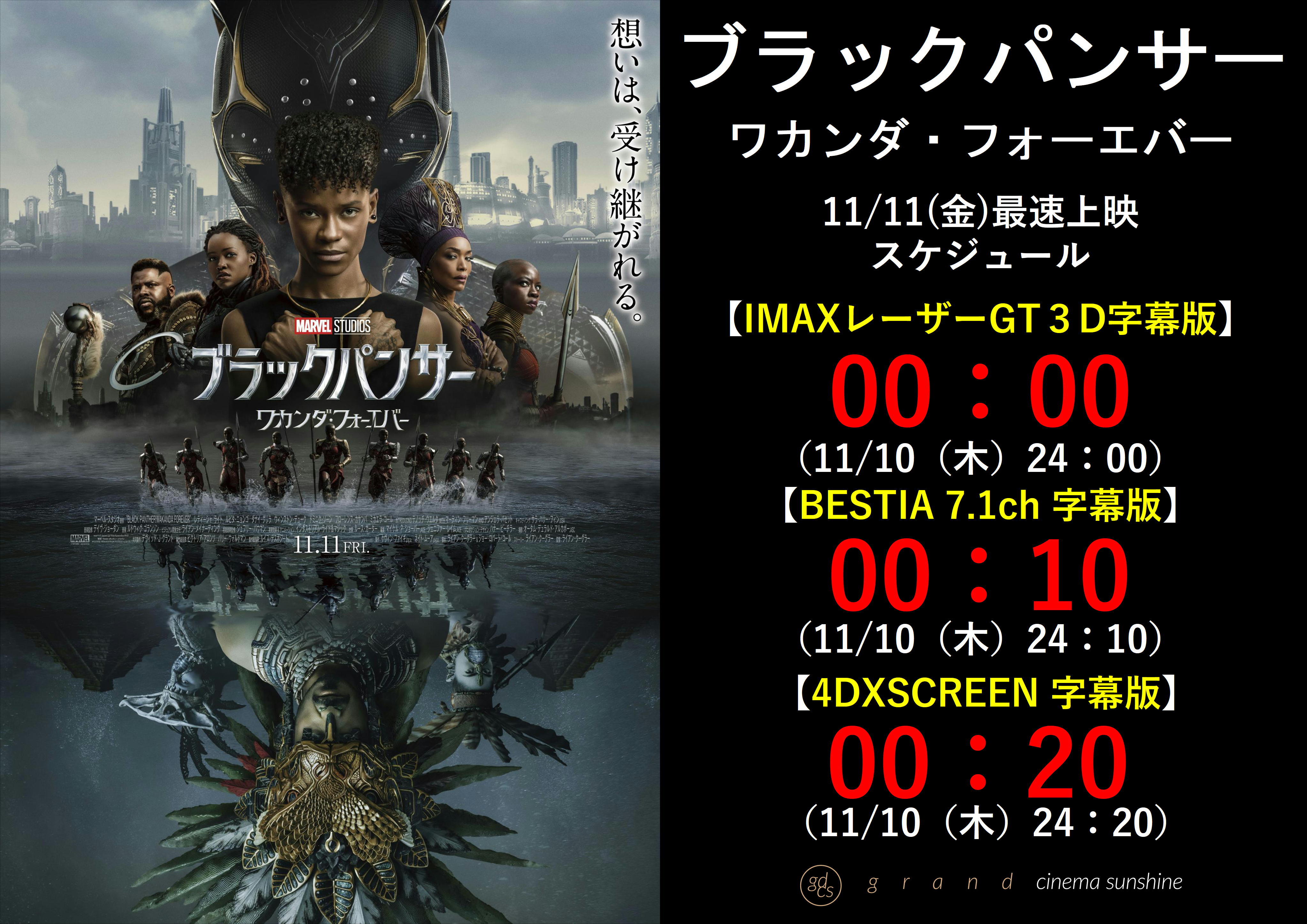 【映画館用両面ポスター】ブラックパンサー／ワカンダ・フォーエバー IMAX Amazon.co.jp: 映画館用両面ポスターブラックパンサー/ワカンダ