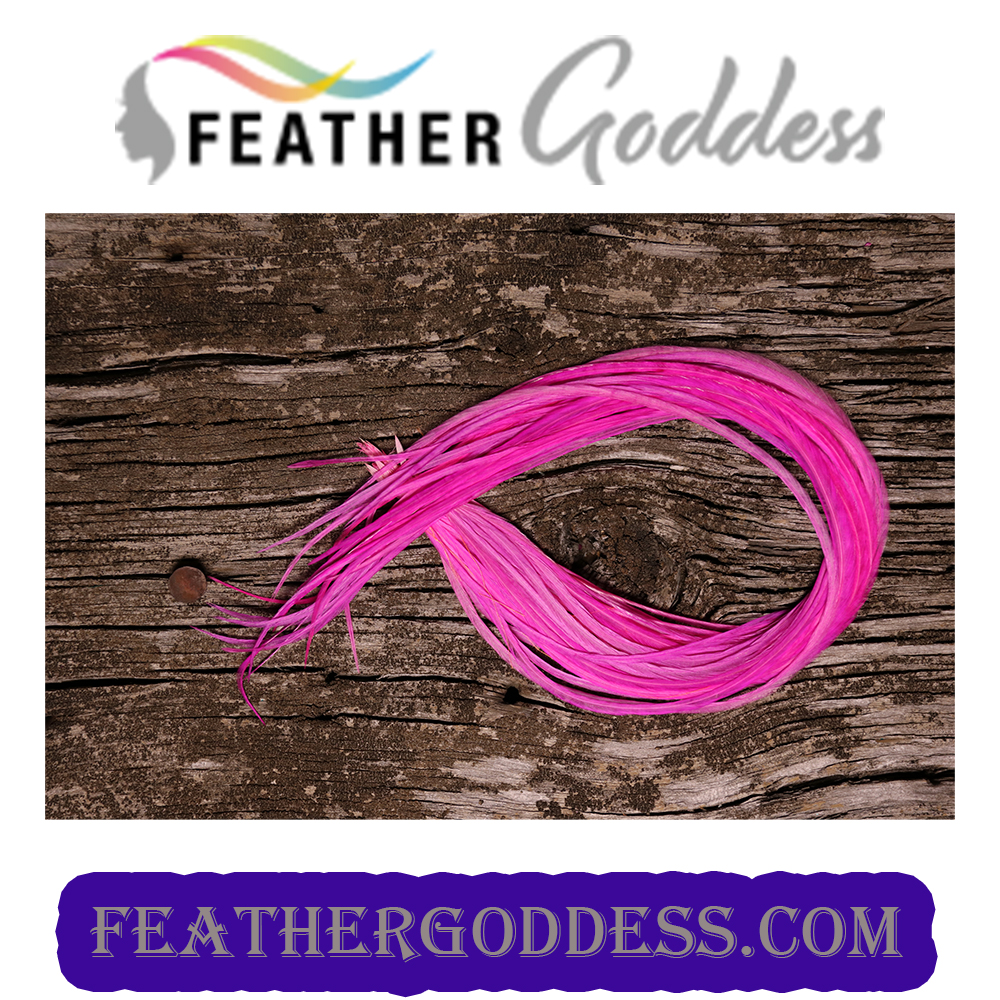 HOT PINK HAIR FEATHERS
feathergoddess.com/ECommerce/Shop…
:
#hairstyles #hairextensions #hairsolons  #featherhairextensions #hairstyle #fashionfeathers #feathergoddess #extensionspecialist #hairdresser #collegefootball  #collegiatesports #schoolcolors #holidaycolors #holidays