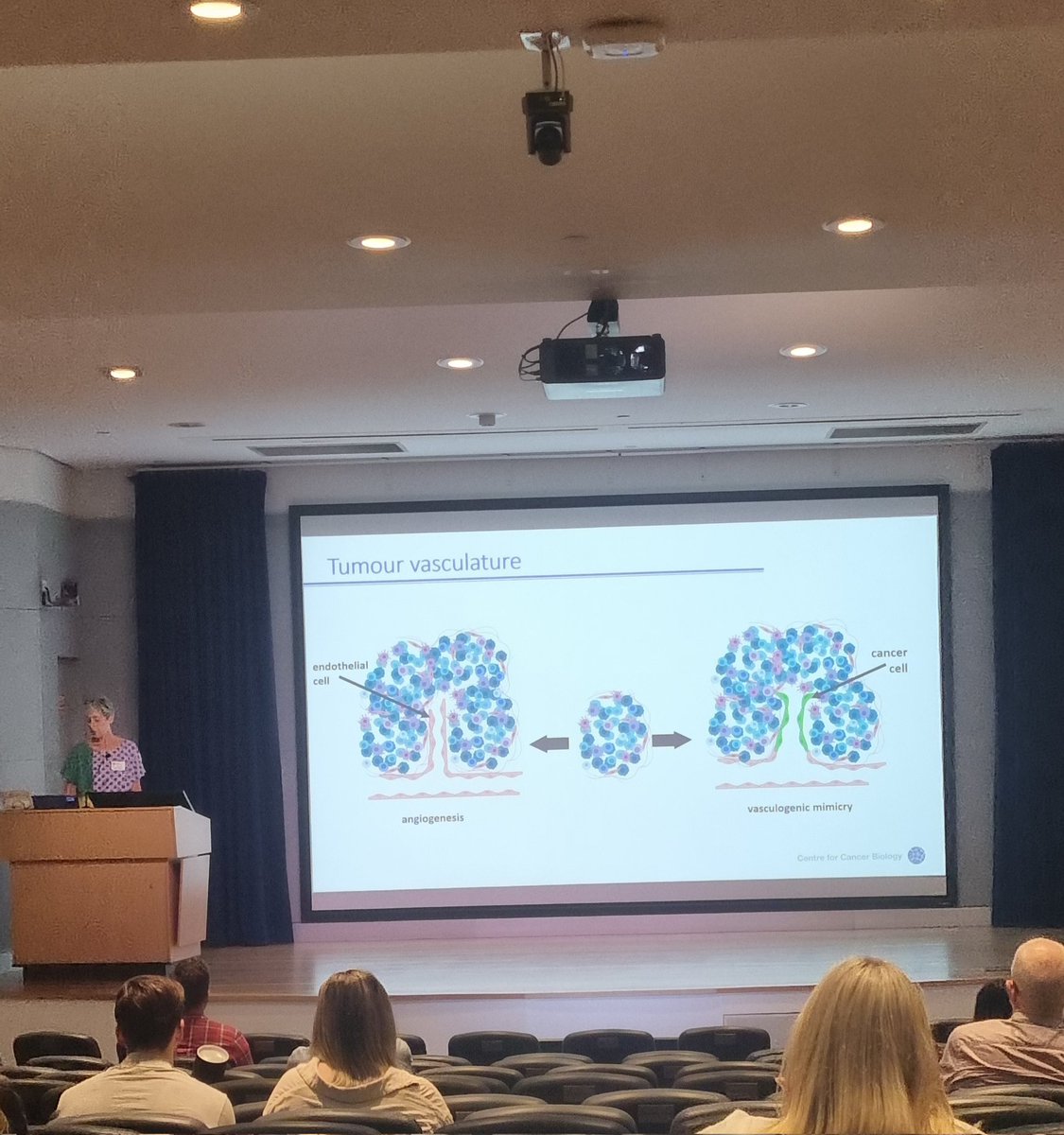 Marina Pajic (@drmarinapajic) on Twitter photo Prof <a href="/claudine_bonder/">Claudine Bonder</a> from the <a href="/CCB_Research/">Centre for Cancer Biology</a> with an important update on the role of aberrant vasculature and vasculogenic mimicry in cancer spread and disease progression, day 2 #GSS2022 <a href="/GarvanInstitute/">Garvan Institute of Medical Research</a> Prof <a href="/claudine_bonder/">Claudine Bonder</a> from the <a href="/CCB_Research/">Centre for Cancer Biology</a> with an important update on the role of aberrant vasculature and vasculogenic mimicry in cancer spread and disease progression, day 2 #GSS2022 <a href="/GarvanInstitute/">Garvan Institute of Medical Research</a>