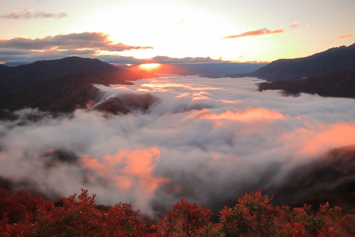 yuske0817's tweet photo. 朱に染まる。。。滝雲。
10月20日の枝折峠。。。
2022/10/20 撮影。
#滝雲 #滝雲が流れる絶景 #魚沼市の絶景 #雲海 #枝折峠 #魚沼市 #新潟県 #waterfallclouds #seaofclouds #uonuma #uonuma_pic #niigatapic #gataphoto #japan_morning_view #wu_japan #ig_clouds #ig_japan #cloudphotography https://t.co/b6leds8L9C