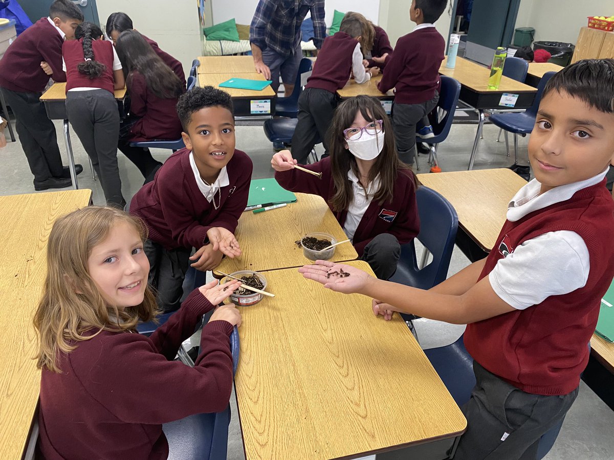 Mrs. Petley-Kerr’s Class tweet media