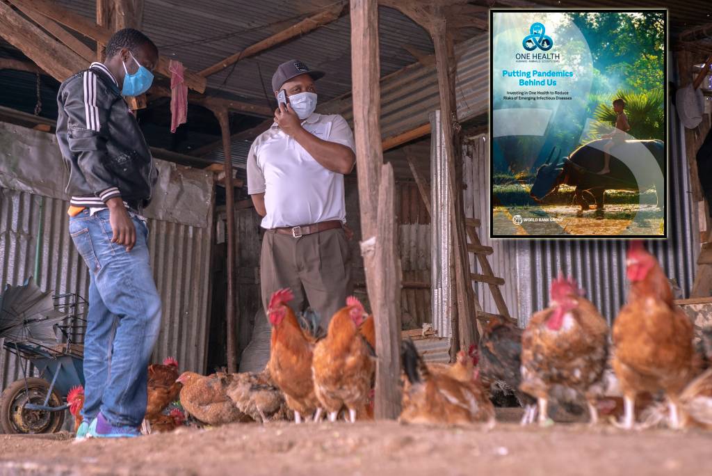 The health of people, animals & the environment is closely connected, making ramped-up investments in the #OneHealth approach essential to efforts to #PutPandemicsBehindUs. A new @WorldBank report proposes solutions to end the cycle of pandemics: wrld.bg/27ZC50LjO0f