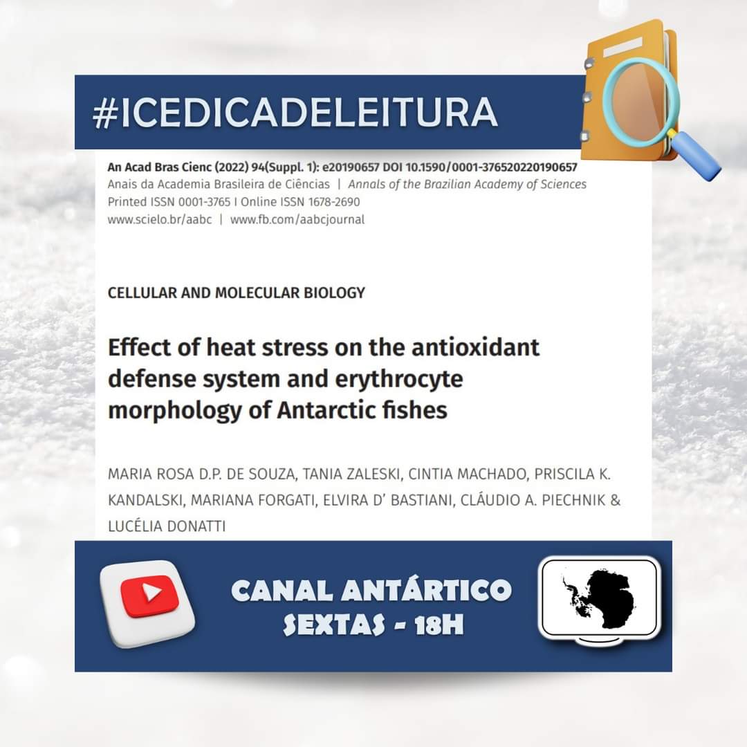 CanalAntartico's tweet photo. Segunda é dia de nossa ICE-DICA DE LEITURA.⬇ Link para o artigo ❄📢🎯
https://t.co/RzkUhLvB8b
Quer saber mais? Dá uma olhada em nosso Canal Antártico no YouTube que você encontrará mais conteúdos sobre a Antártica.
#icedicadeleitura
#divulgaçãocientífica
#pesquisaantártica https://t.co/TLjySRNzSh