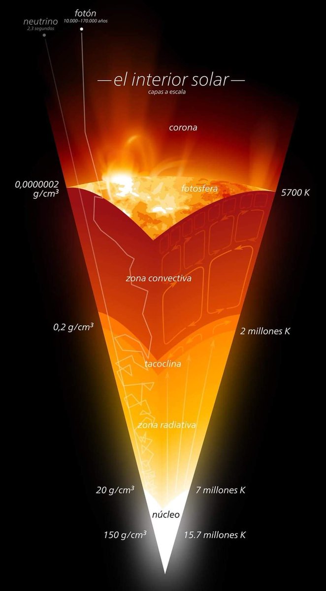 InformaCosmos's tweet photo. Un fotón tarda 8 minutos en recorrer 150 millones de kilómetros desde la superficie del Sol hasta llegar a la Tierra, pero recorrer los 700 mil kilómetros desde el núcleo de la estrella hasta su propia superficie le lleva entre 10 mil a 170 mil años. https://t.co/oBmkchZ3zL
