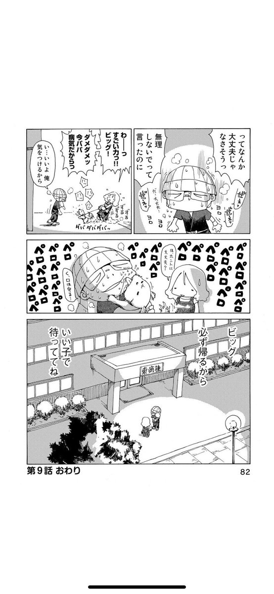 さよならタマちゃん 第9話-2
当時5歳だったビッグも今は17歳のおじいちゃん犬。体はあちこち衰えてきたけどまだまだ元気で一緒にいてくれてます☺️
第10話に続く 
