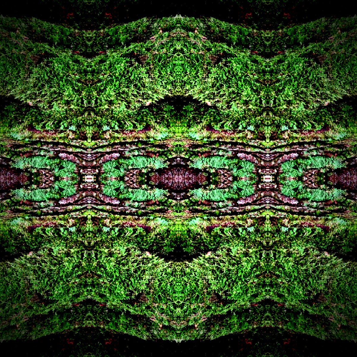 pi_talaslahti's tweet photo. Creatures of the woods 2
#nature #creatures #creaturesofthewoods #creaturedesign #atthegate #spirit #forest #forestspirit #NaturePhotography #GraphicDesign #textiledesign #design #designer #multidesign #multidesigner #color #fashion #world #green https://t.co/nJodAWdom4