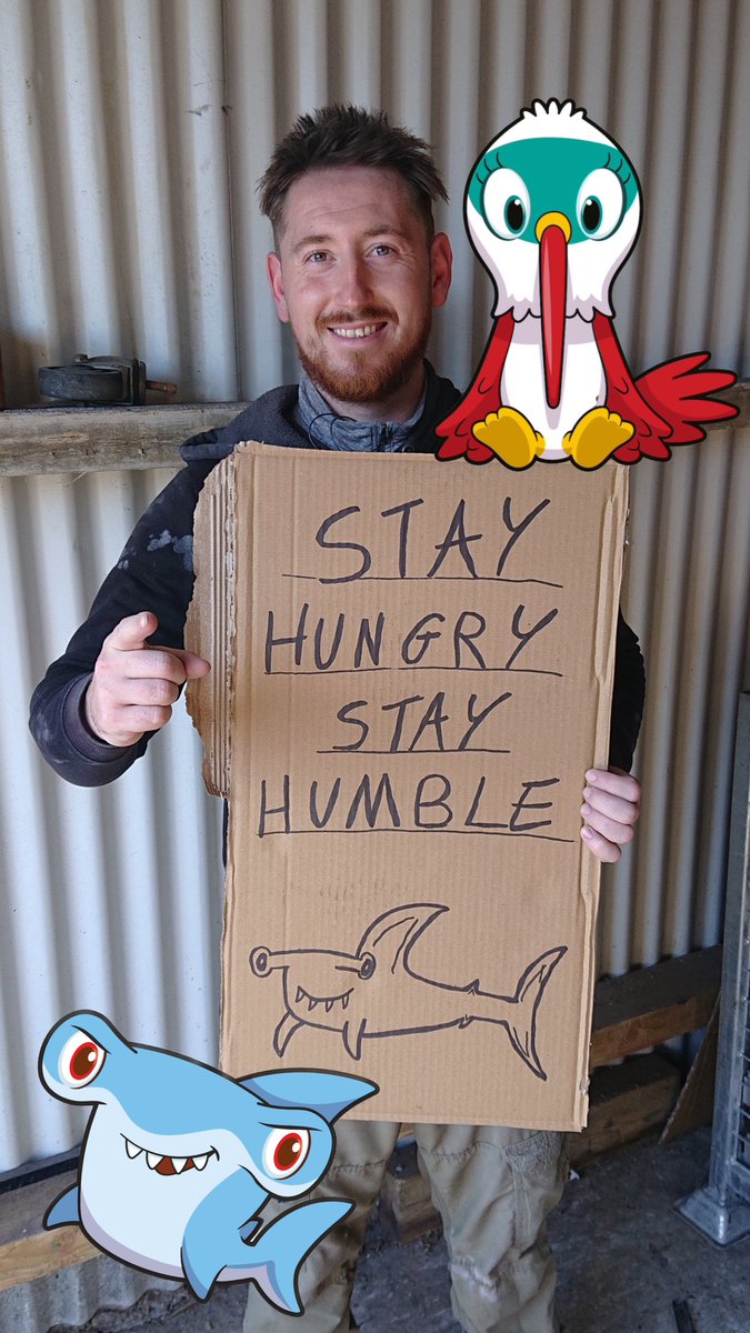 KOWSKY_'s tweet photo. @LeonElliott452 @veefriends @veeminders @garyvee @iTSEriDe @BrandyH_22 @BrandellaLouise @0xBlockFather @gmillersnap #HungryHammerhead #HumbleHummingbird #VeeMinders https://t.co/nGpztEECWG