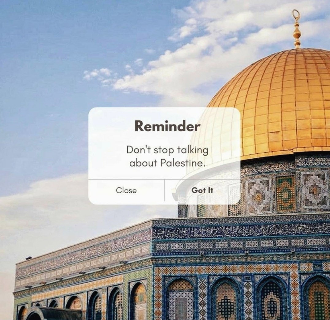 AyaIsleemEn's tweet photo. Never stop talking about Palestine. https://t.co/arbzJB1g9F
