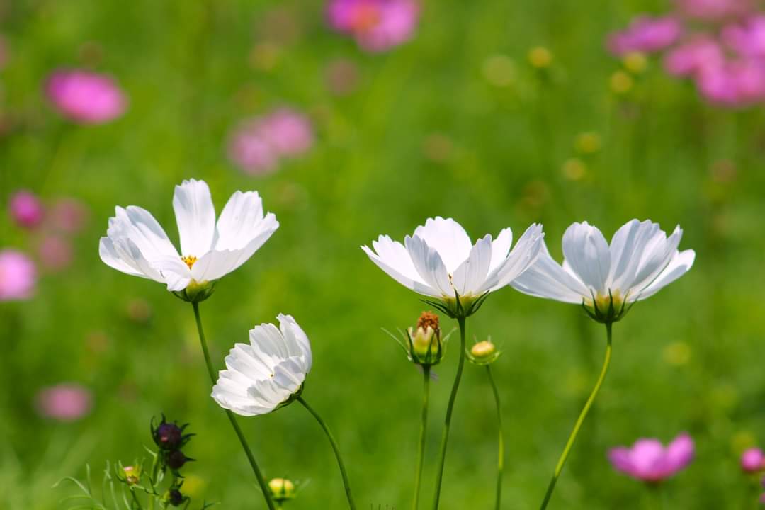 Debbie O. tweet media