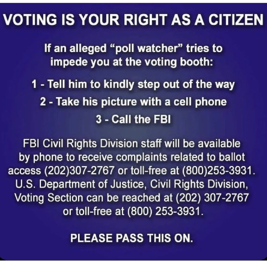DBlack_Mountain's tweet photo. Voting Is Your Right.

Please Keep This Handy. https://t.co/bqK6nSApcp