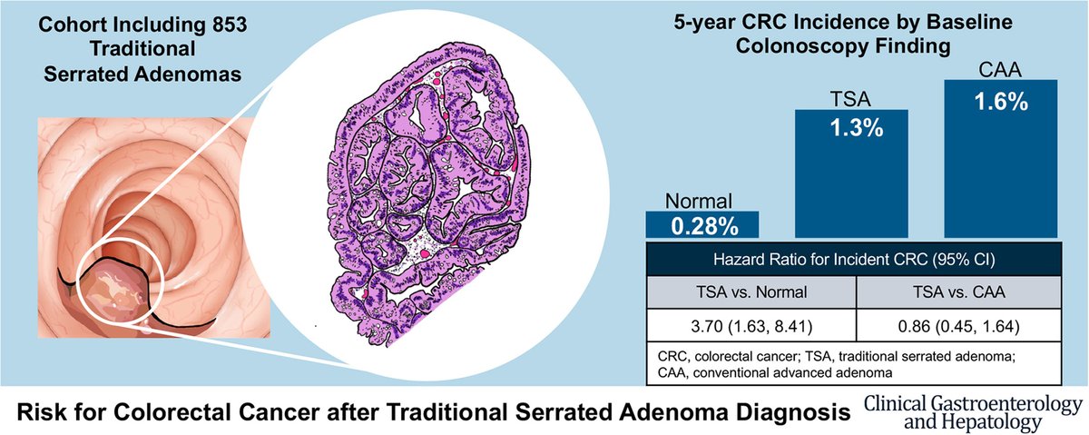 Wonder why Traditional Serrated Adenomas require surveillance after 3 years? Our paper in @AGA_CGH demonstrates TSAs confer increased risk for CRC vs normal colonoscopy with CRC rates similar to advanced adenomas, check out below! @samirguptaGI @dembj13 cghjournal.org/article/S1542-…