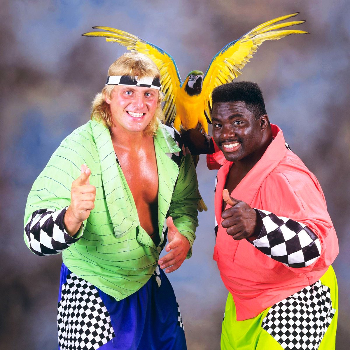 Tag Team Tuesday! Owen Hart & Koko B. Ware - High Energy! 🦜 @wwekokobware #WWF #WWE #Wrestling #OwenHart #KokoBWare