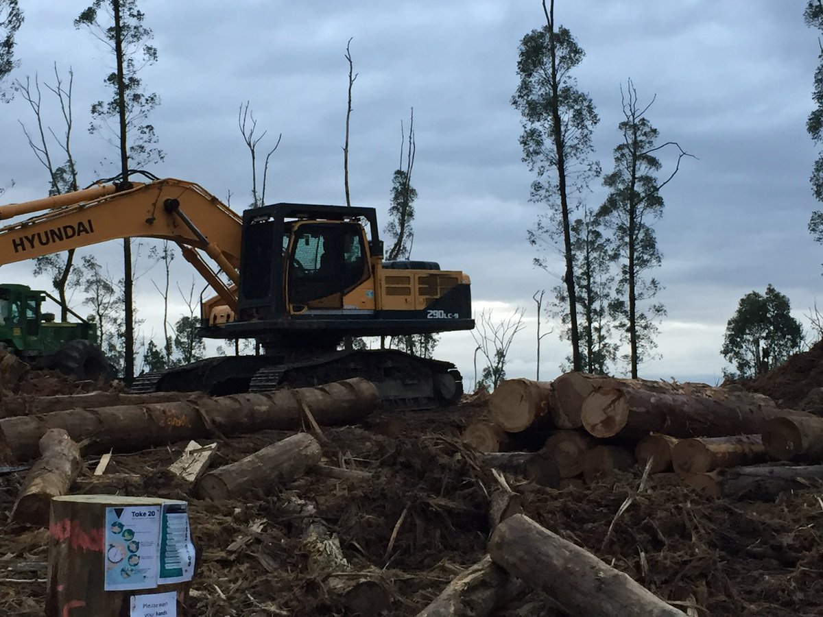mac_bron's tweet image. Dan Andrews,if you were governing for all Victorians,not for the private profits of the few, you would #StopNativeForestLogging now, we need our forests for health, sanity,the preservation of endangered species and the quickest route to reduce emissions in this #ClimateEmergency