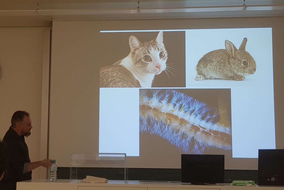 Glad to have Leandro Vieira <a href="/lmanzoni/">Leandro M. Vieira</a> in Vienna talking about cute bryozoans