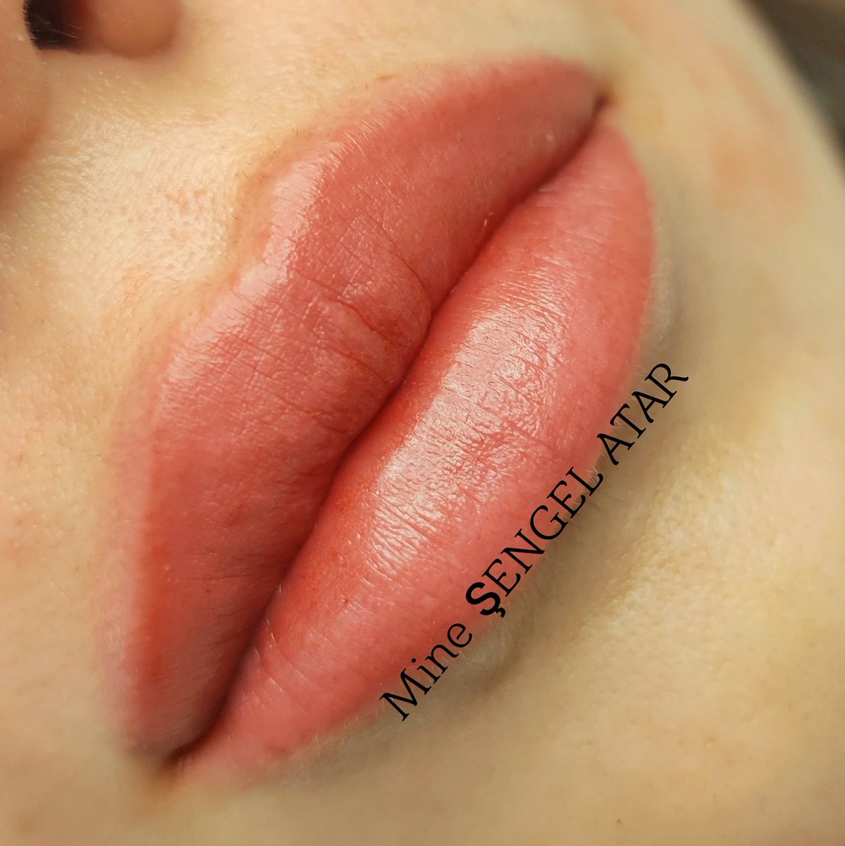 Mine_pmu's tweet photo. #lip #pmu #Tatoo #artist #mine https://t.co/ybIgkWrHjA