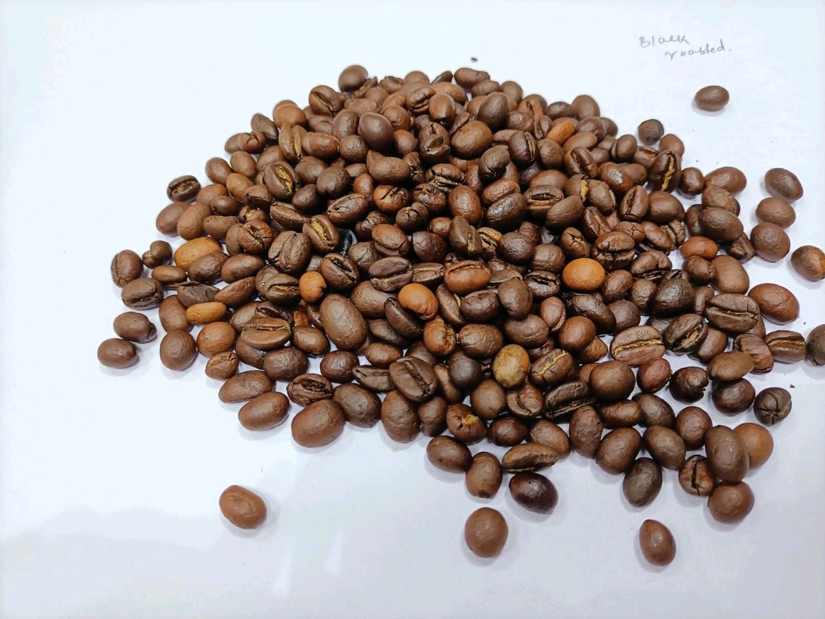 Indonesian coffee from the island of Sumatra
#robusta #arabica #greenbean #Bengkulu