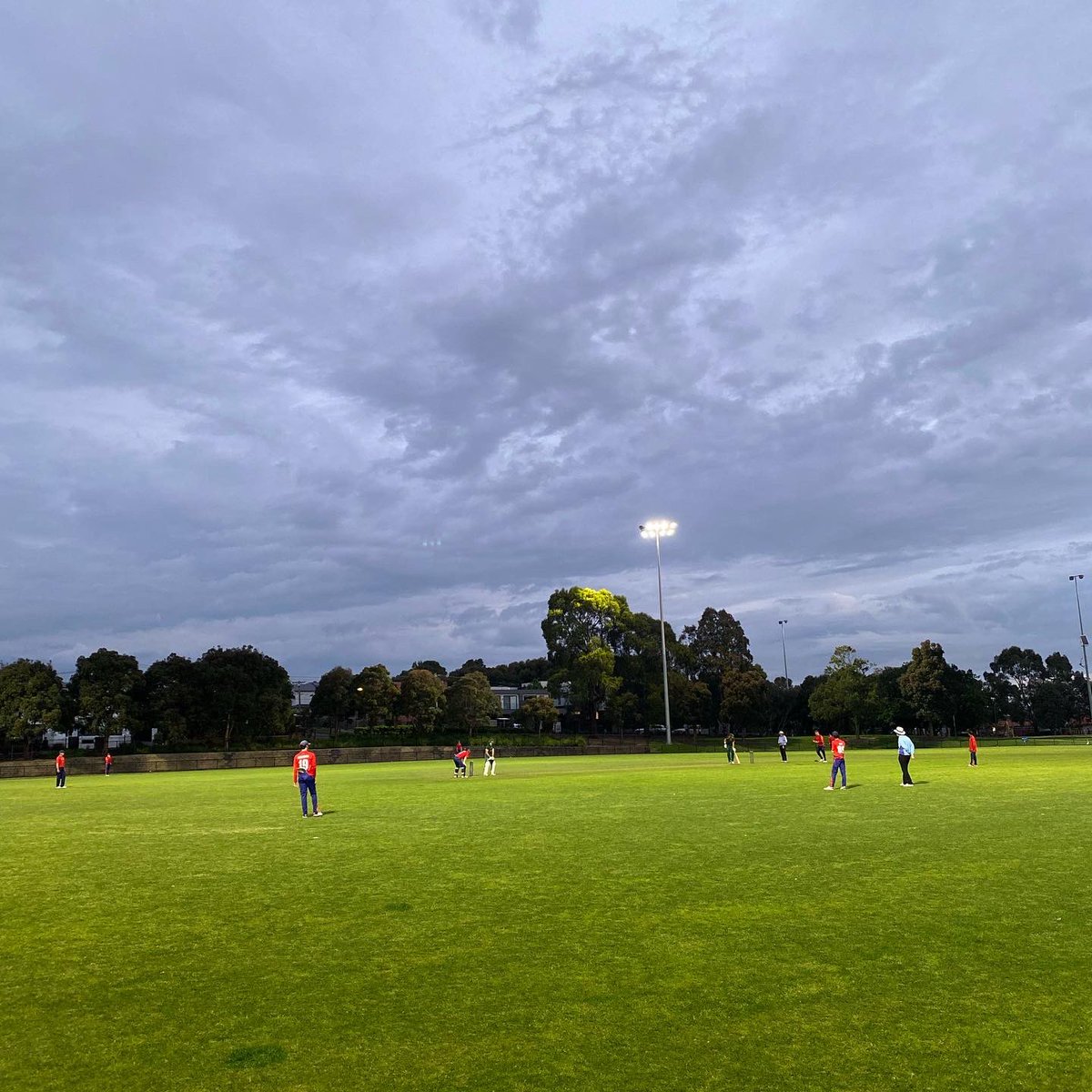 Bentleigh CC tweet media