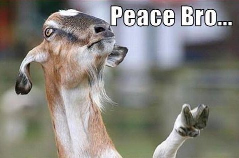 nesansiva's tweet photo. Visiting #twitter to verify if #WhatsAppDown and calming down 😂 #peacebro No need to reinstall or restart😁 https://t.co/K4C5xkn0TS