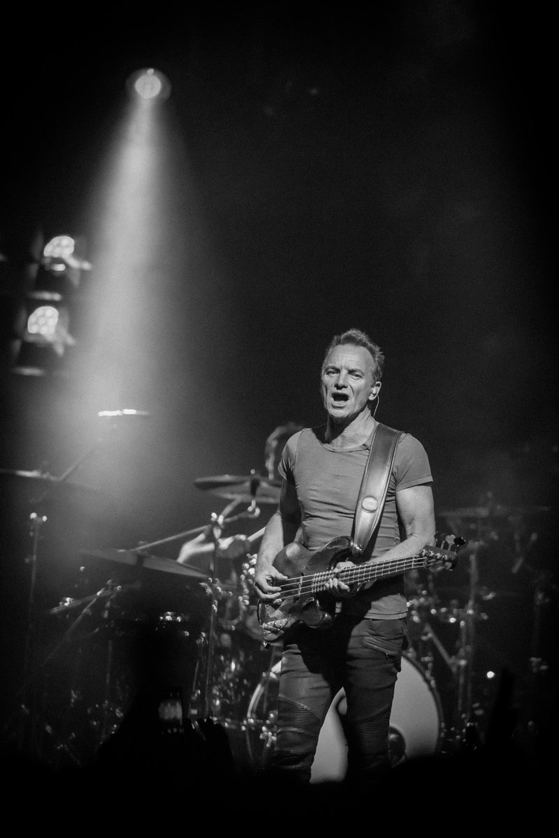 Live Nation Italia tweet media