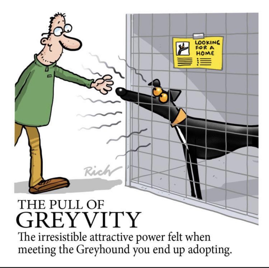 Claire Bines (@clairebines1) on Twitter photo <a href="/OrlaBorla2/">OrlaBorla</a> <a href="/whirly_pearly/">💜PearlyWhirlyGreyhound💜</a> I think we all felt like this. Another brilliant <a href="/richskipworth1/">Richard Skipworth</a> <a href="/OrlaBorla2/">OrlaBorla</a> <a href="/whirly_pearly/">💜PearlyWhirlyGreyhound💜</a> I think we all felt like this. Another brilliant <a href="/richskipworth1/">Richard Skipworth</a>