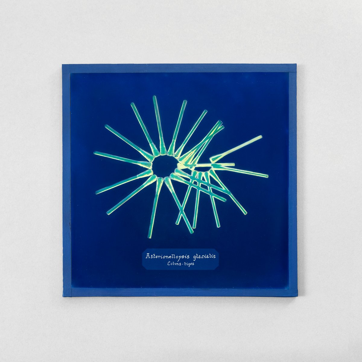 [PRIX PHOTOGRAPHIE &amp; SCIENCES]  🔵🔴🟡 Félicitations à Manon Lanjouère, lauréate du Prix Photographie &amp; Sciences #2022 !

👉En savoir plus  : bit.ly/3D7gDlS 

Avec  <a href="/Adagp_/">ADAGP</a> , <a href="/CNRS_Toulouse/">CNRS Occitanie Ouest</a>, <a href="/CNRS/">CNRS 🌍</a> , <a href="/Casden_BP/">CASDEN</a>, @Stimultania, <a href="/PictoFR/">Picto</a>,<a href="/Fisheyelemag/">Fisheye Magazine</a> , <a href="/Sciences_Avenir/">Sciences et Avenir</a> .