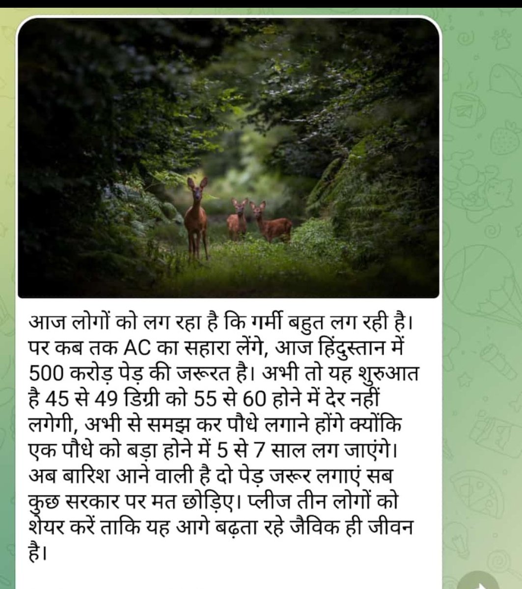 PrashantBhasme5's tweet photo. This rainy season mission - plant for life #environment https://t.co/SgxWqwPgBF