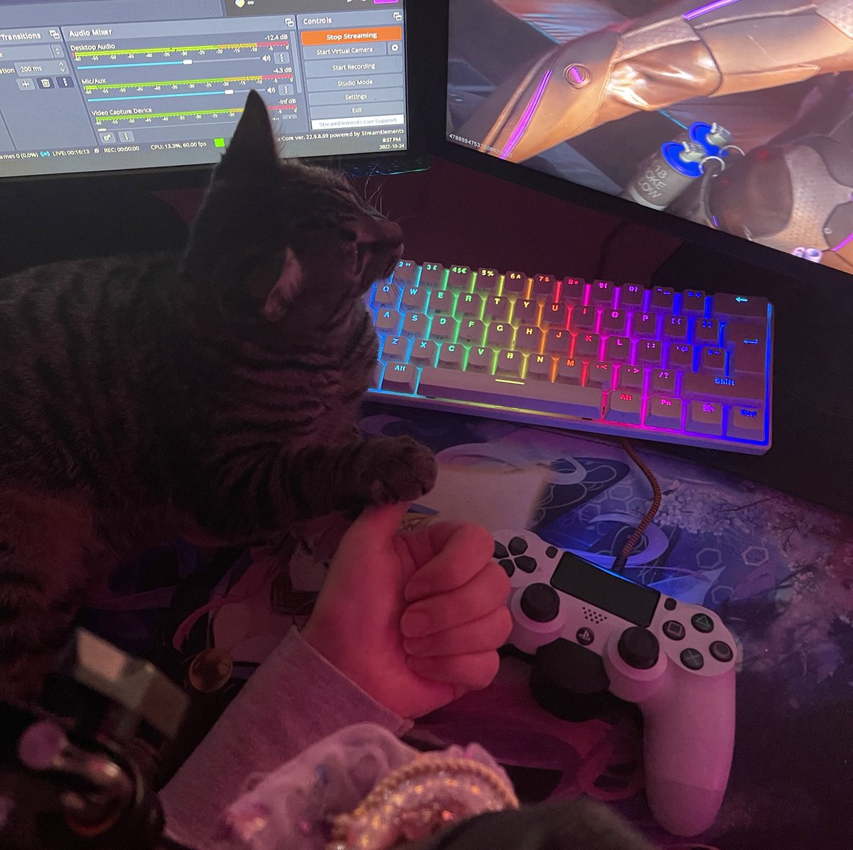 JulilyTV tweet picture
