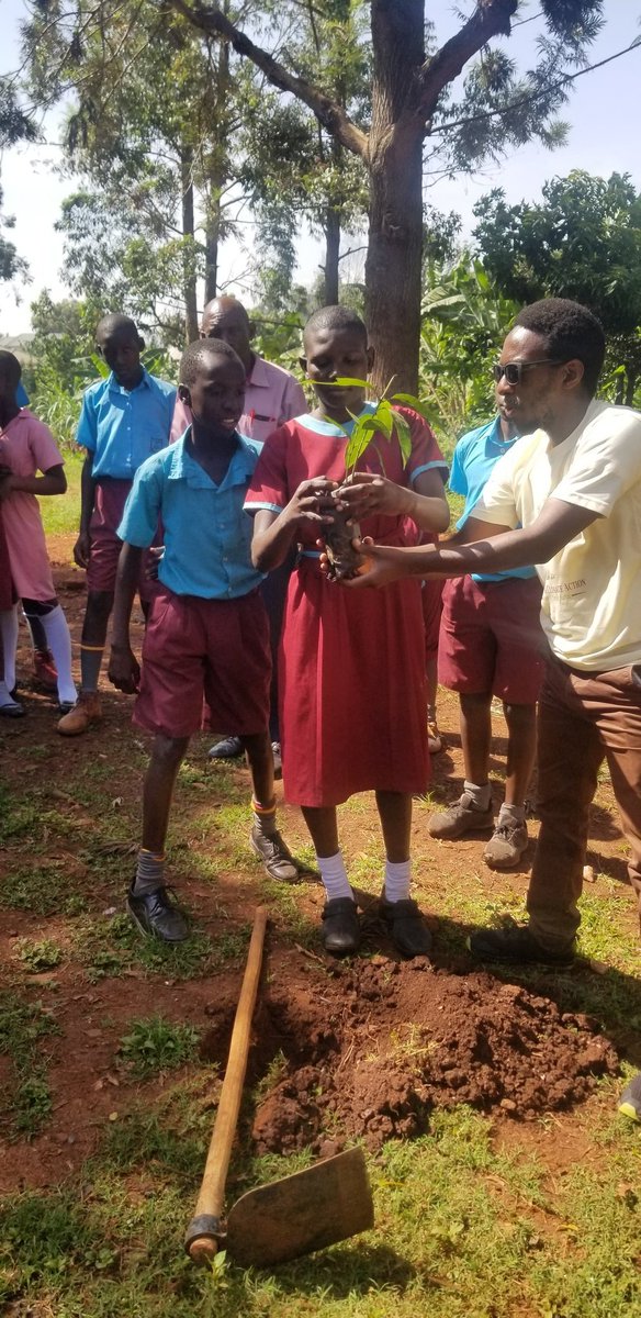 G4ClimateAction's tweet photo. At #WalukubaEast Primary School, Jinja. 
"We bring you a tree as our card to wish you an eco-friendly success in your exams.." @Payopius1
 Co-Founder  @G4ClimateAction
#PLETREE https://t.co/52cYaqpokg