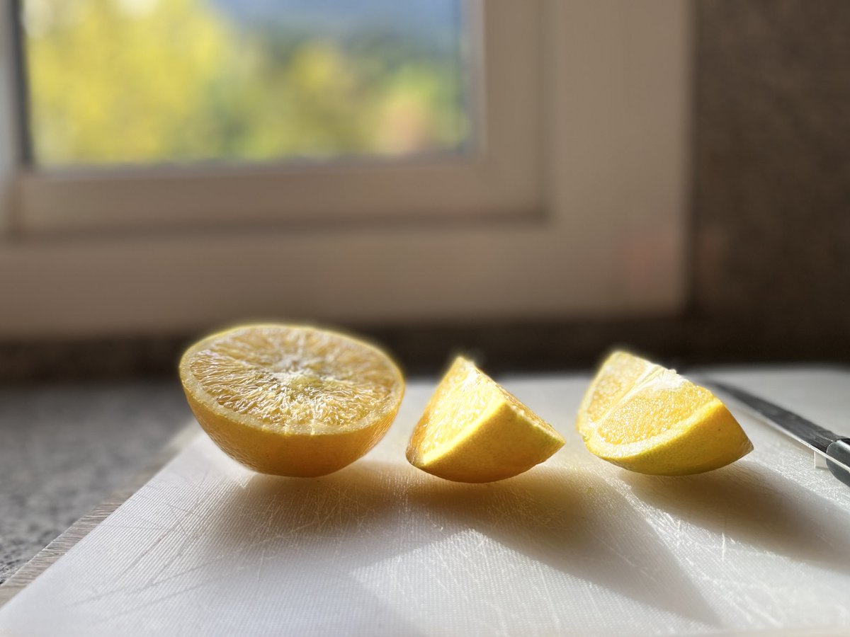 OsterlohAtLarge's tweet photo. “Oh, oh! Citrus, sir!” Deliciously tart #majorcan oranges from the garden. I feel the pull of a food market today… https://t.co/1SdmpvT7H7