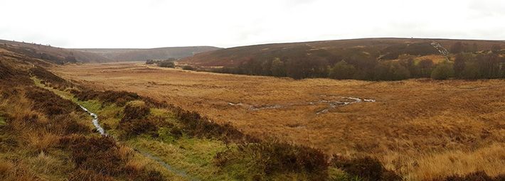 ‘Moor to Restore’, a project in @northyorkmoors in collaboration with @Revere_eco. The project will survey peatland throughout North York Moors and aims to work with landowners and managers to restore approx 4,500 hectares of peat. ow.ly/tKqH50LjXJh #NetZeroWithNature