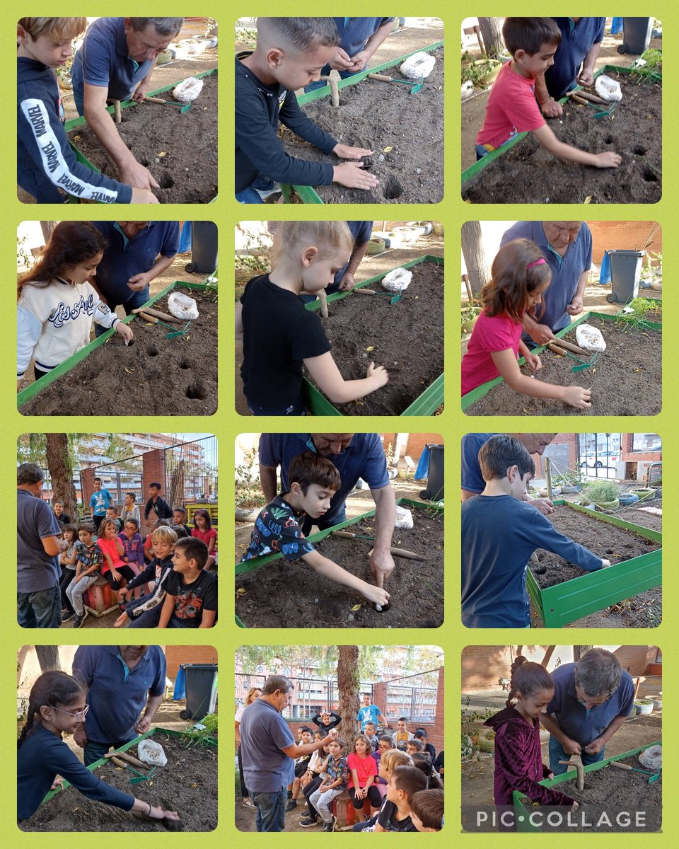 galis_esc's tweet photo. Avui hem sortit a l'hort de l'escola a plantar alls, amb l'ajuda del "nostre" avi Pepe!
#supergalisdesegonA @Eambiental #retrobament #graciesavis https://t.co/5MI0apg9js