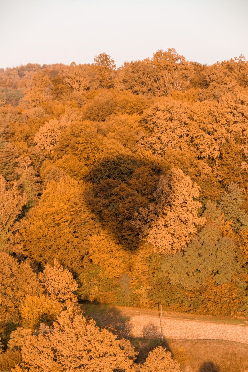 Croatia_hr's tweet photo. There’s no better way to see our fall foliage than to take to the skies over Zagorje! 
📷: wakinguphere 
#FallingforCroatia #CroatiaFullOfLife https://t.co/aqHqI7zlmQ