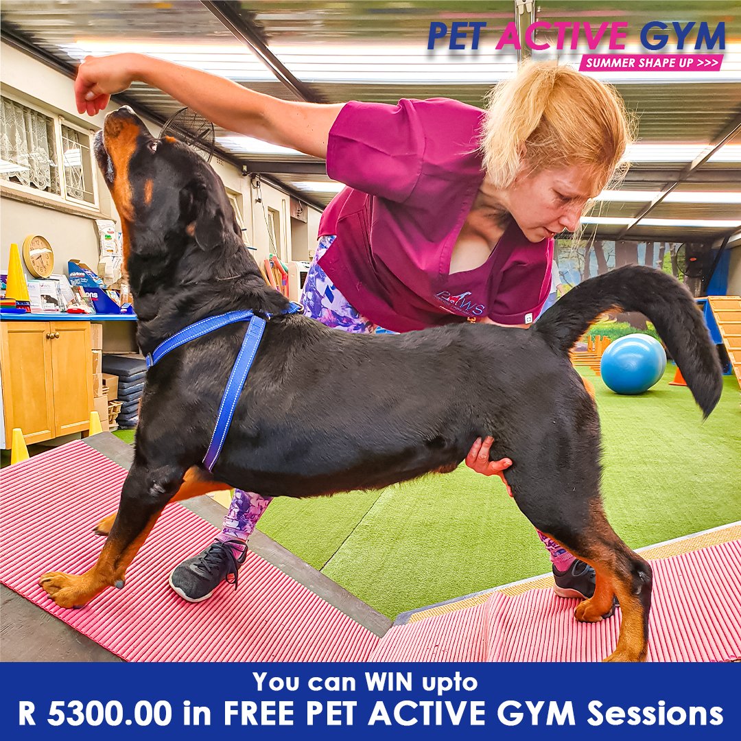 Paws-itive Paws-abilities tweet media