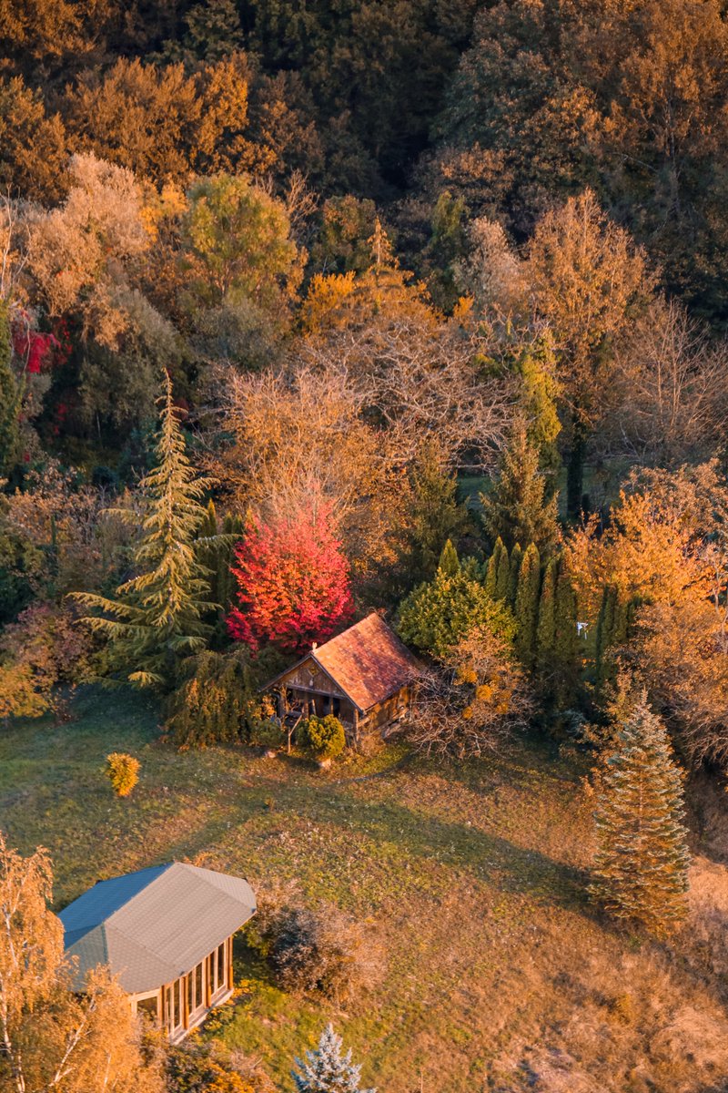 Croatia_hr's tweet photo. There’s no better way to see our fall foliage than to take to the skies over Zagorje! 
📷: wakinguphere 
#FallingforCroatia #CroatiaFullOfLife https://t.co/aqHqI7zlmQ